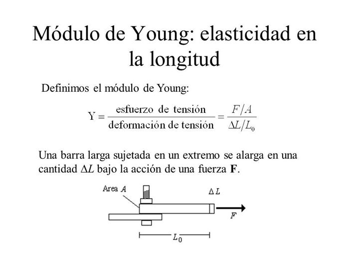 Modulo de Elasticidad